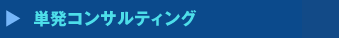 単発コンサルティング