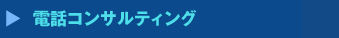 電話コンサルティング