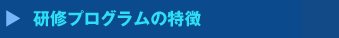 研修プログラムの特徴