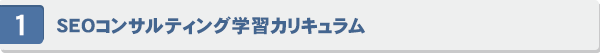 SEOコンサルテイング学習カリキュラム