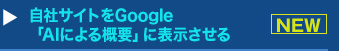 『自社サイトをGoogle「AIによる概要」に表示させる』セミナー