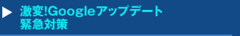 激変！Googleアップデート緊急対策セミナー