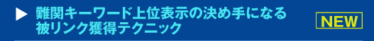 難関キーワード上位表示の決め手になる被リンク獲得テクニックセミナー